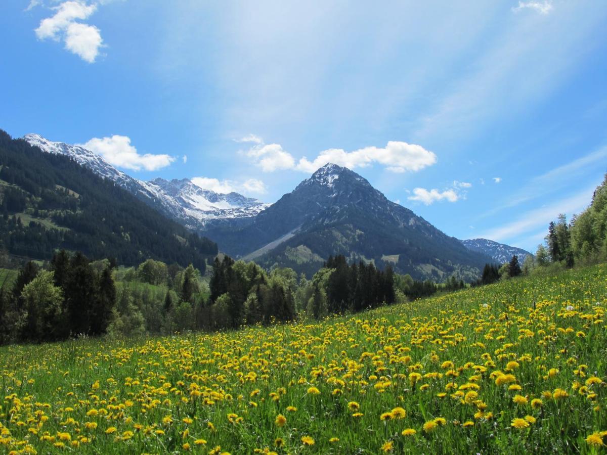 Hornblick Fewo- Ab Mai Freie Fahrt Mit Bergbahnen Oberstdorf Esterno foto